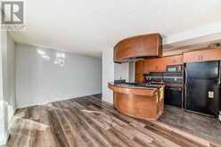 203, 1730 7 Street SW Calgary