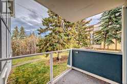 103, 312 Cedar Crescent SW Calgary