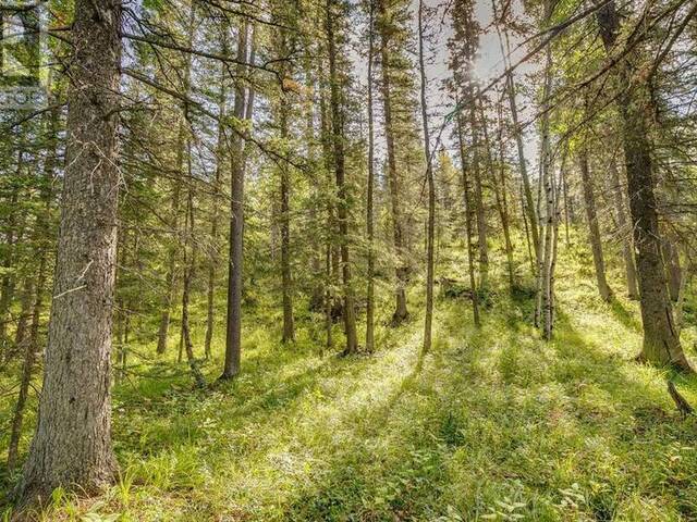 Lot 9 Burney Road Bragg Creek Alberta