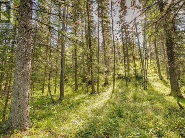 Lot 9 Burney Road Bragg Creek