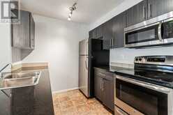 204, 5 Saddlestone Way NE Calgary