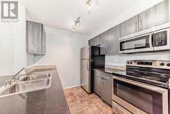 204, 5 Saddlestone Way NE Calgary