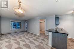 204, 5 Saddlestone Way NE Calgary