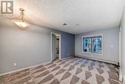 204, 5 Saddlestone Way NE Calgary