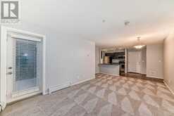 204, 5 Saddlestone Way NE Calgary