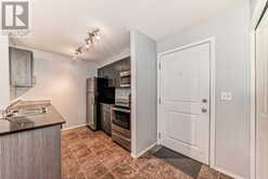 204, 5 Saddlestone Way NE Calgary