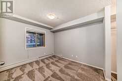 204, 5 Saddlestone Way NE Calgary