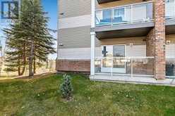 116, 92 Saddletree Court NE Calgary