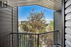 320, 7180 80 Avenue NE Calgary