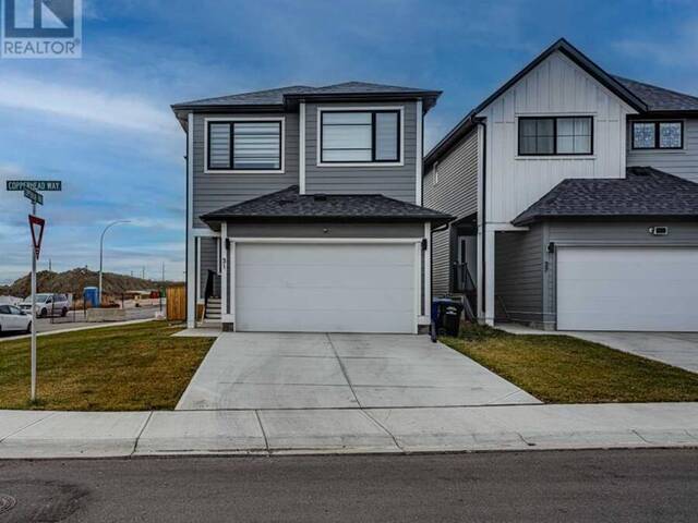 31 Copperhead Way SE Calgary Alberta