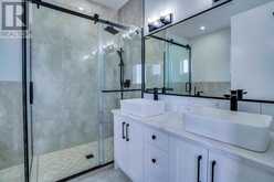 160 Saddlelake Manor NE Calgary