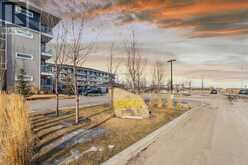 1404, 76 Cornerstone Passage NE Calgary