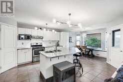 248 Douglas Ridge Green SE Calgary