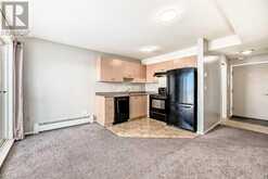 419, 1717 60 Street SE Calgary