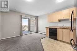 419, 1717 60 Street SE Calgary