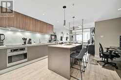 1508, 1122 3 Street SE Calgary