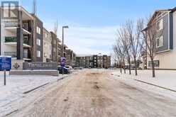 116, 355 Taralake Way NE Calgary