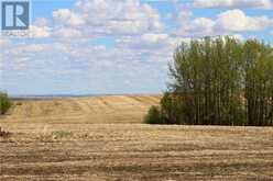 292 RR292 Acres Rural Rocky View