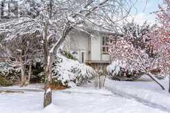 344 Templeton Circle NE Calgary