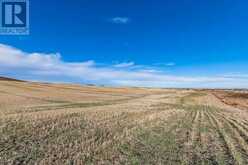 96 Street East (East Parcel 149.2 Acres) Rural Foothills