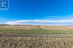 96 Street East (East Parcel 149.2 Acres) Rural Foothills