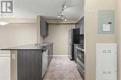 316, 15 Saddlestone Way NE Calgary