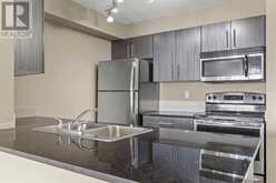 316, 15 Saddlestone Way NE Calgary