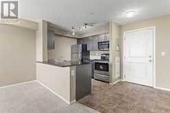 316, 15 Saddlestone Way NE Calgary