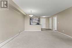 316, 15 Saddlestone Way NE Calgary