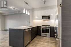 1313, 95 Burma Star Road SW Calgary