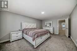 173 Savanna Passage NE Calgary