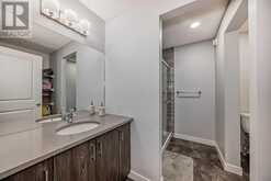 173 Savanna Passage NE Calgary