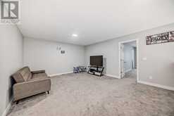 173 Savanna Passage NE Calgary