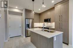 1118, 395 Skyview Parkway NE Calgary