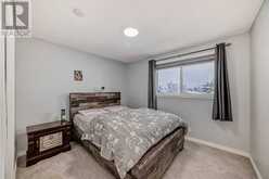 195 Castleridge Drive NE Calgary