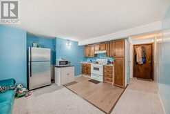 195 Castleridge Drive NE Calgary