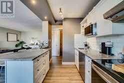 302, 1027 Cameron Avenue SW Calgary