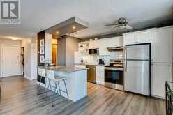 302, 1027 Cameron Avenue SW Calgary