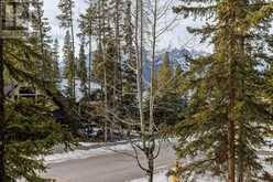 2, 116 Silvertip Ridge Canmore