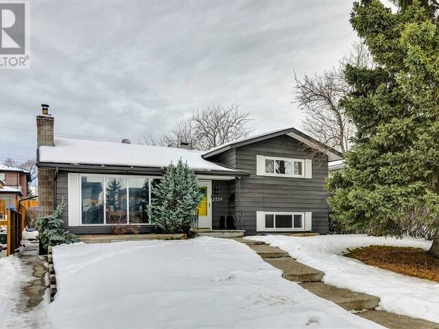 2539 19 Street SW Calgary