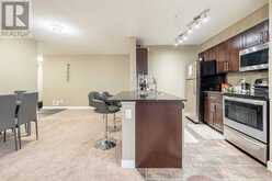 218, 15 Saddlestone Way NE Calgary