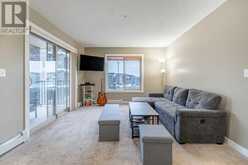 218, 15 Saddlestone Way NE Calgary