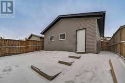 61 Skyview Springs Crescent NE Calgary