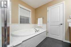 204 Auburn Springs Close SE Calgary