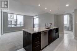 2502, 1111 10 Street SW Calgary