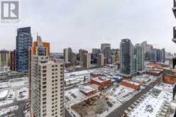 2502, 1111 10 Street SW Calgary