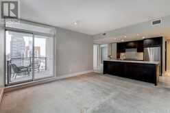 2502, 1111 10 Street SW Calgary