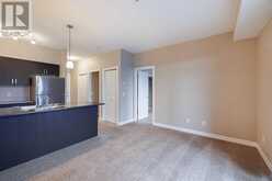 320, 117 Copperpond Common SE Calgary