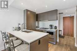 309, 1025 5 Avenue SW Calgary