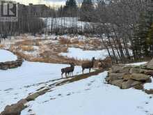 255161 Bearspaw Road Rural Rocky View